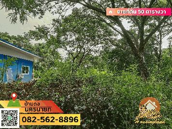 ขายที่ดินเปล่า(ถมแล้ว) บ้านดง ตำบลสาริกา อำเภอเมืองนครนายก จังหวัดนครนายก  